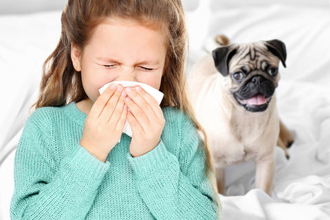 Why am I Suffering from Indoor Allergies?